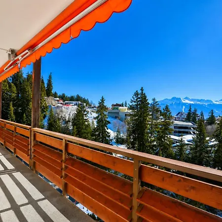 Mountain View Apartament *
