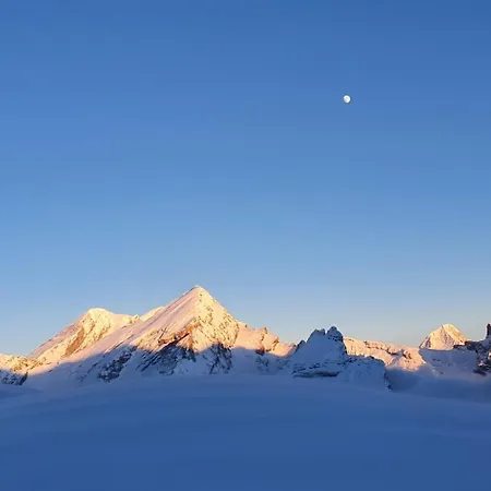 Mountain View *